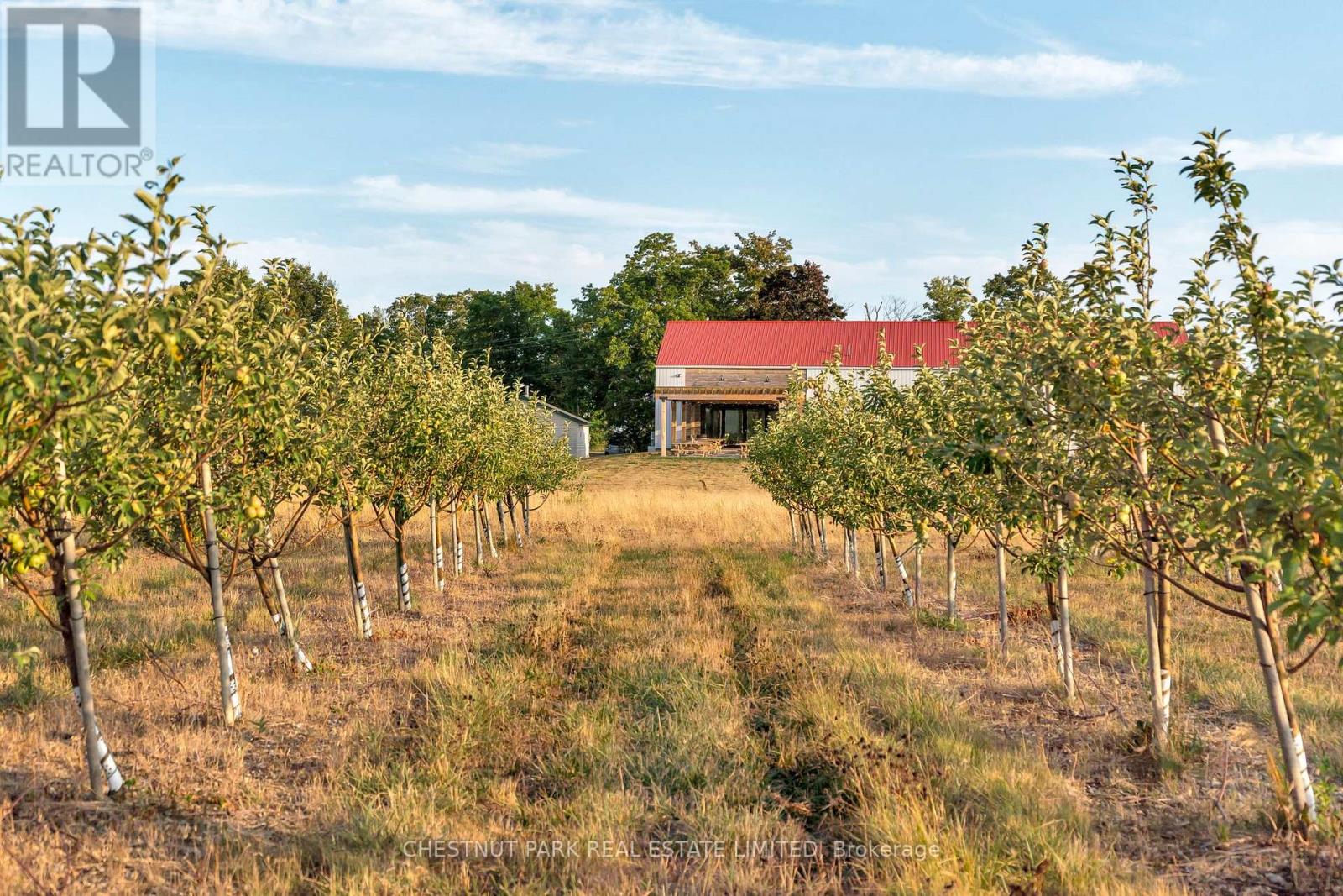 890 DANFORTH ROAD, Prince Edward County, Ontario