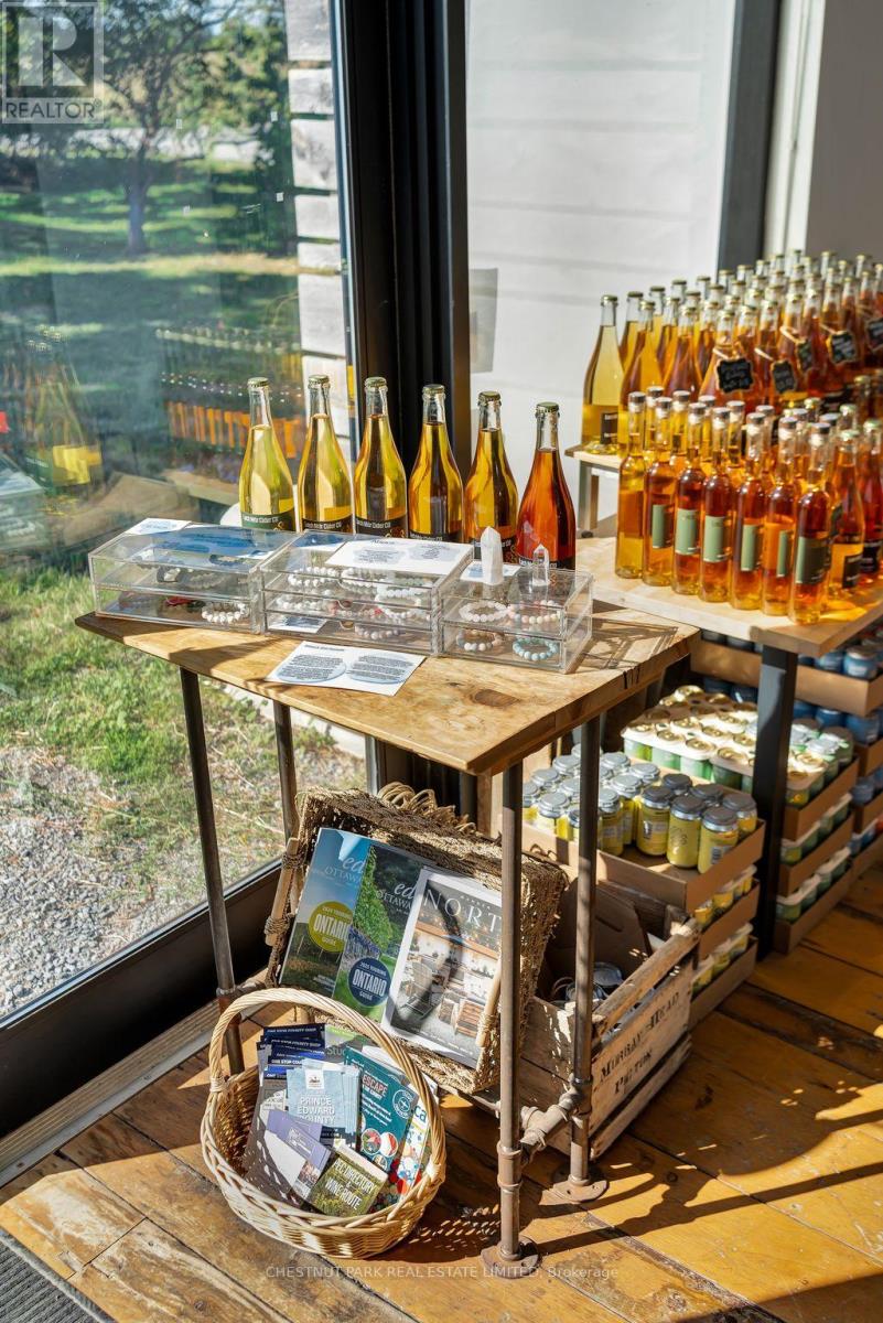 890 Danforth Road, Prince Edward County, Ontario  K0K 2J0 - Photo 12 - X12404524