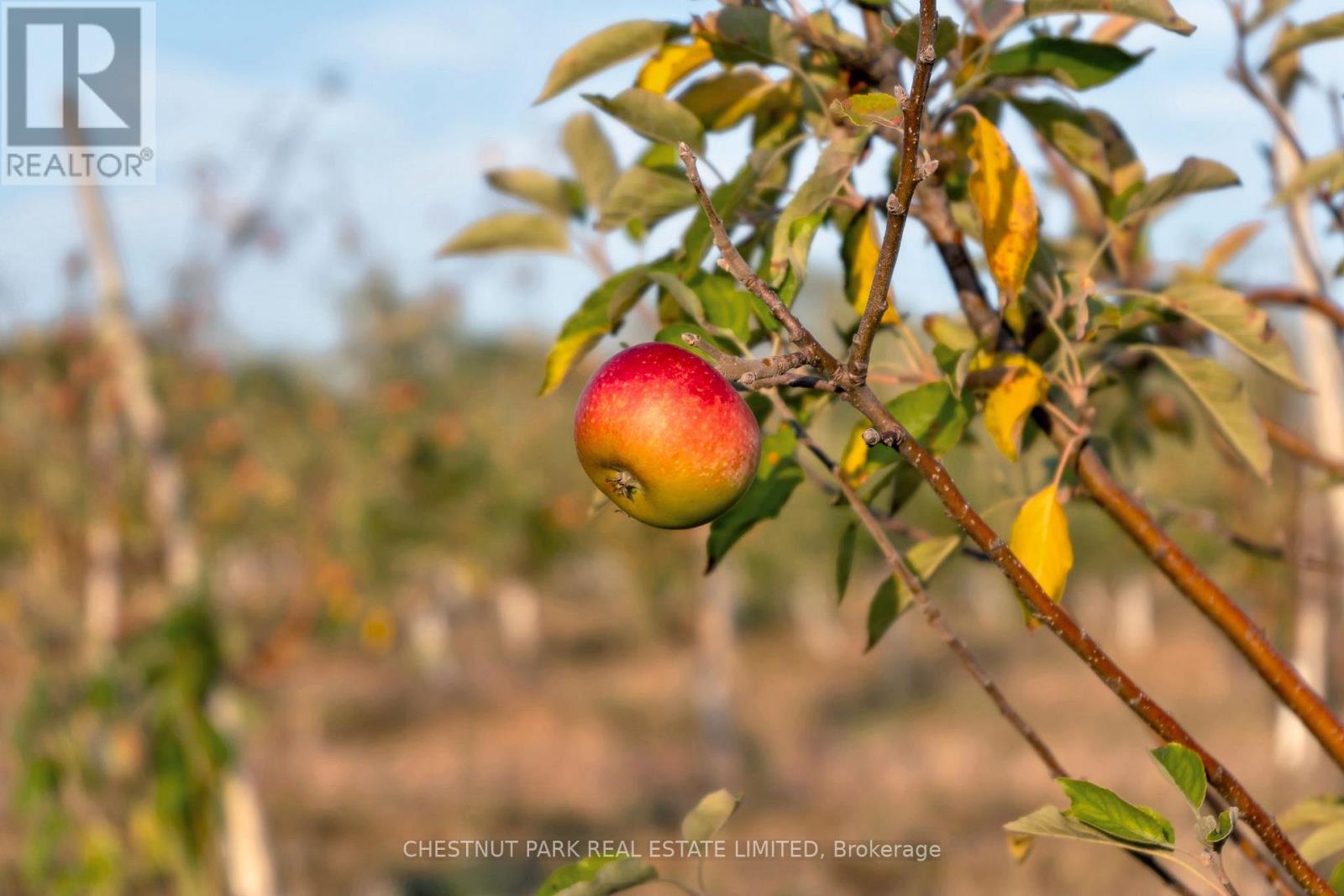 890 Danforth Road, Prince Edward County, Ontario  K0K 2J0 - Photo 36 - X12404524