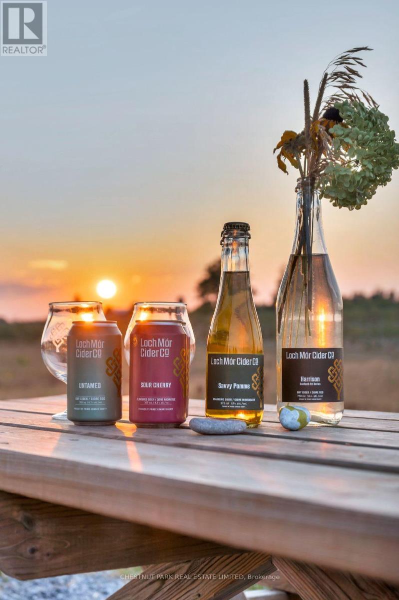 890 Danforth Road, Prince Edward County, Ontario  K0K 2J0 - Photo 39 - X12404524