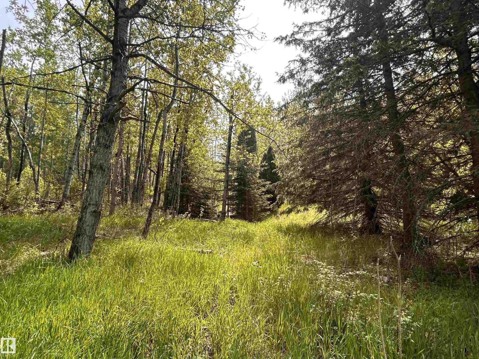 Se-22-63-23-W4, Rural Athabasca County, Alberta  T0G 1T0 - Photo 8 - E4457680