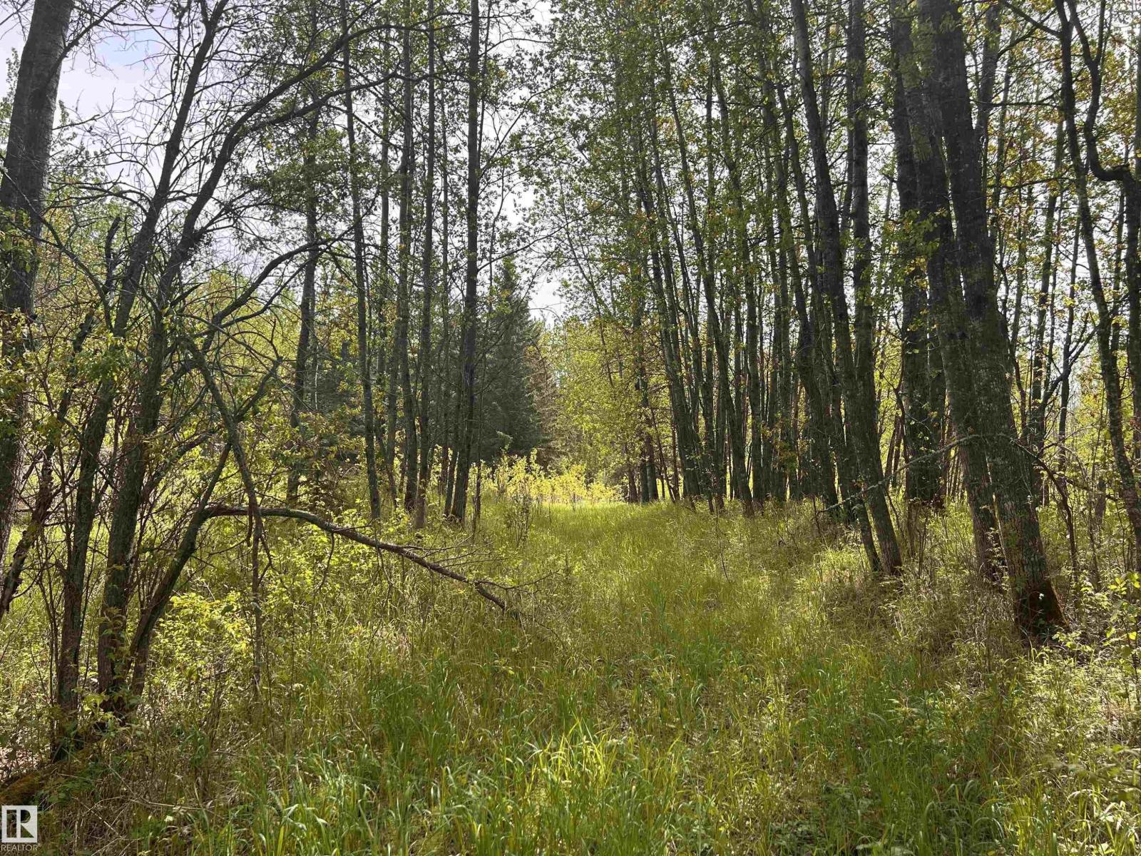 Se-22-63-23-W4, Rural Athabasca County, Alberta  T0G 1T0 - Photo 13 - E4457680
