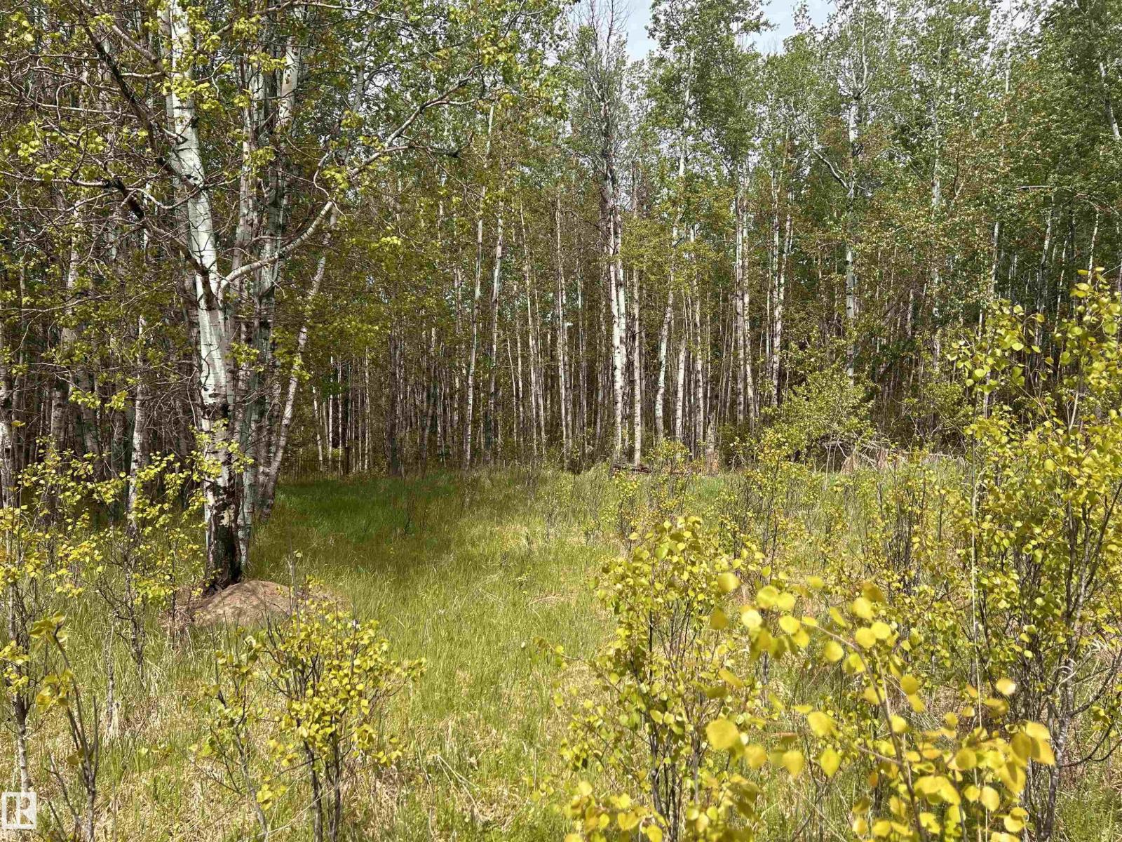 Se-22-63-23-W4, Rural Athabasca County, Alberta  T0G 1T0 - Photo 6 - E4457680