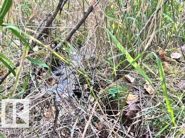 Se-22-63-23-W4, Rural Athabasca County, Alberta  T0G 1T0 - Photo 23 - E4457680