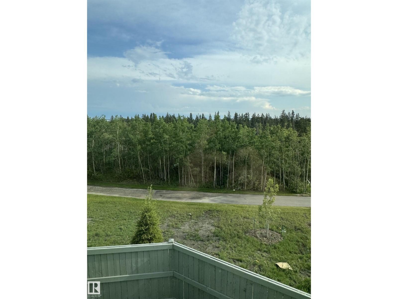 17107 3 St Nw, Edmonton, Alberta  T5Y 4G8 - Photo 16 - E4457856