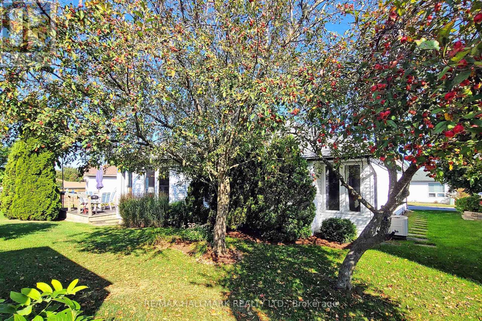 8 Greenfield Place, Wilmot, Ontario  N3A 2G6 - Photo 30 - X12400801