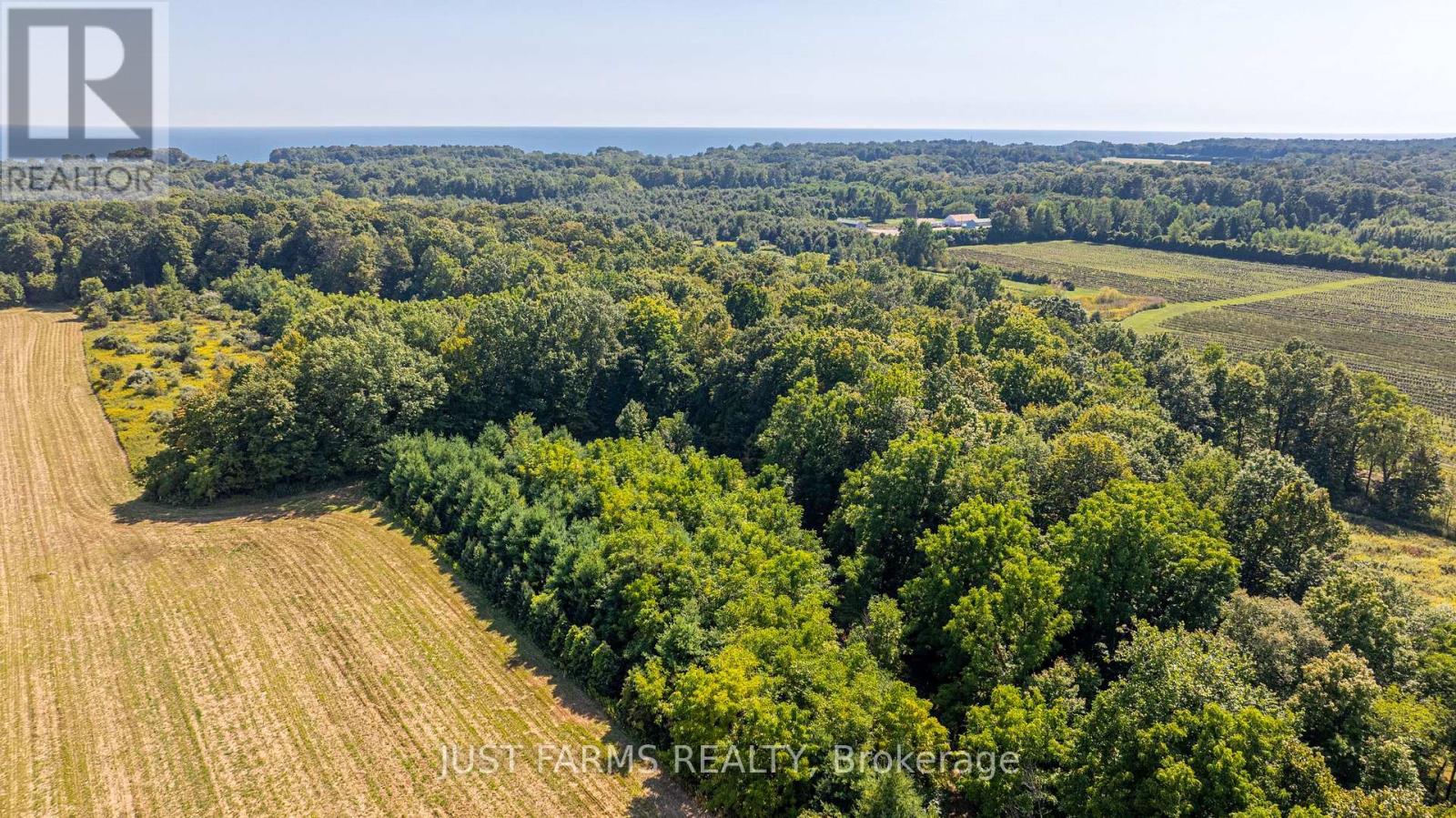 22889 Talbot Line, West Elgin, Ontario  N0L 2C0 - Photo 13 - X12404701