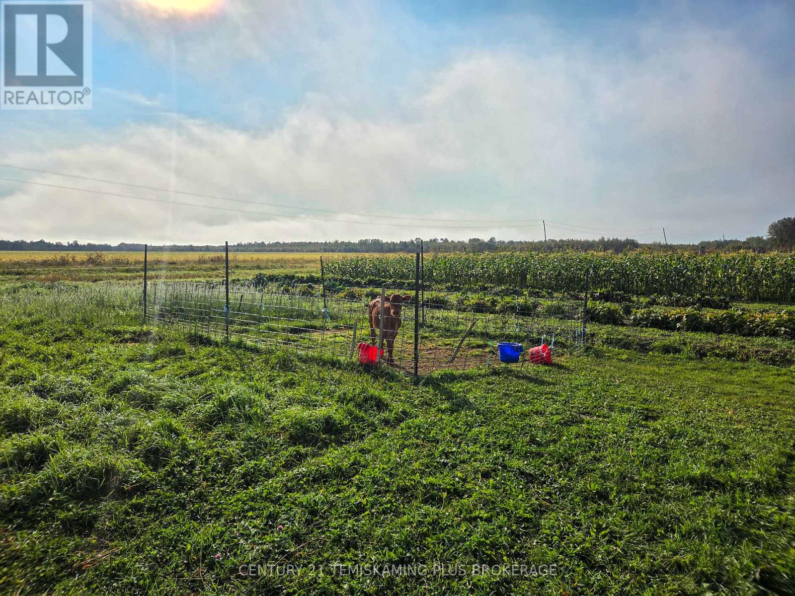 774038 Bear Road, Englehart, Ontario  P0J 1B0 - Photo 23 - T12404634