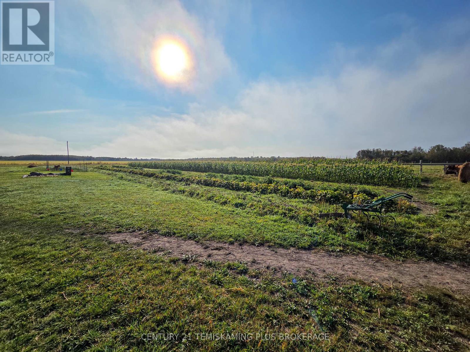 774038 Bear Road, Englehart, Ontario  P0J 1B0 - Photo 24 - T12404634