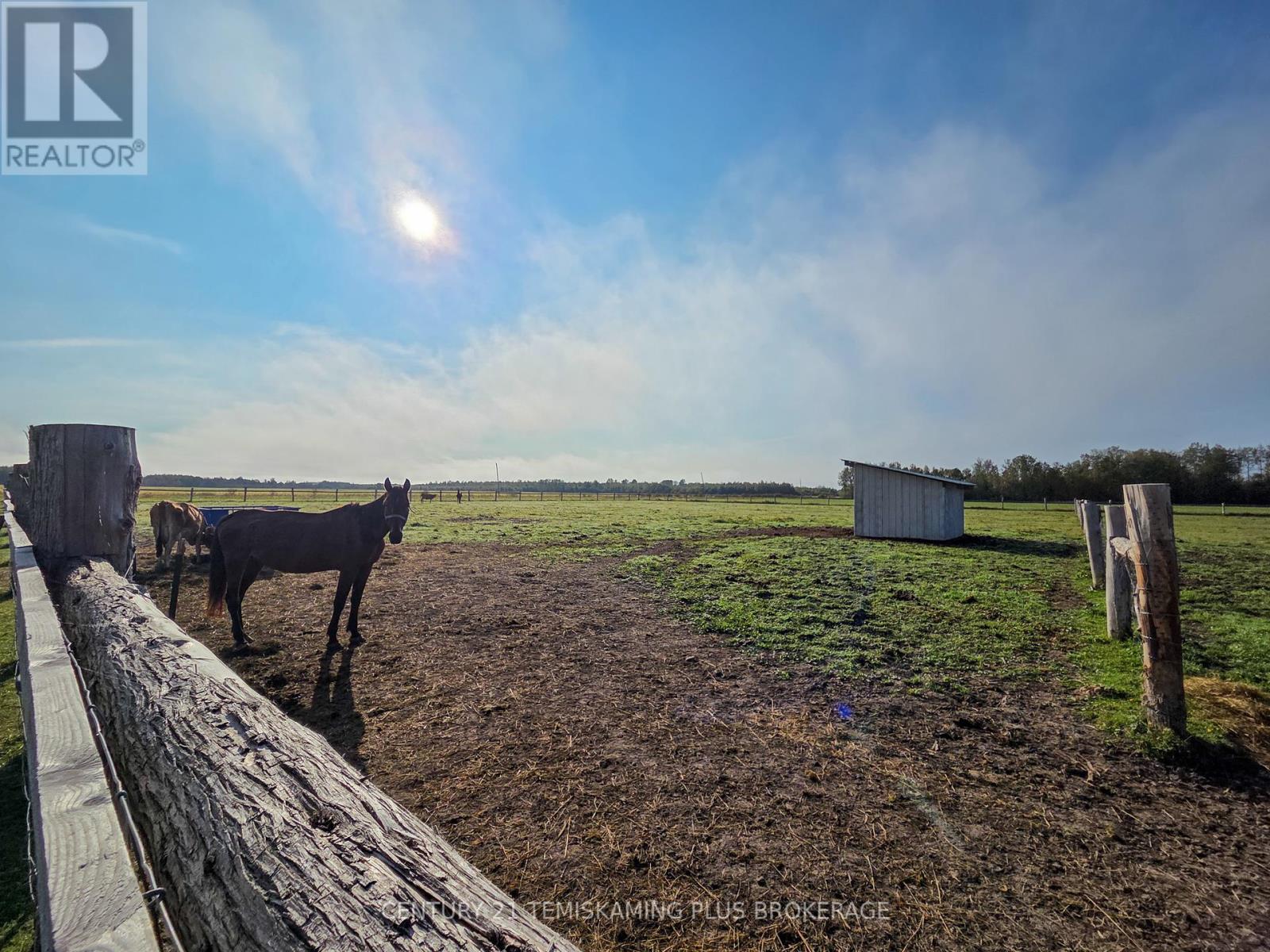 774038 Bear Road, Englehart, Ontario  P0J 1B0 - Photo 25 - T12404634