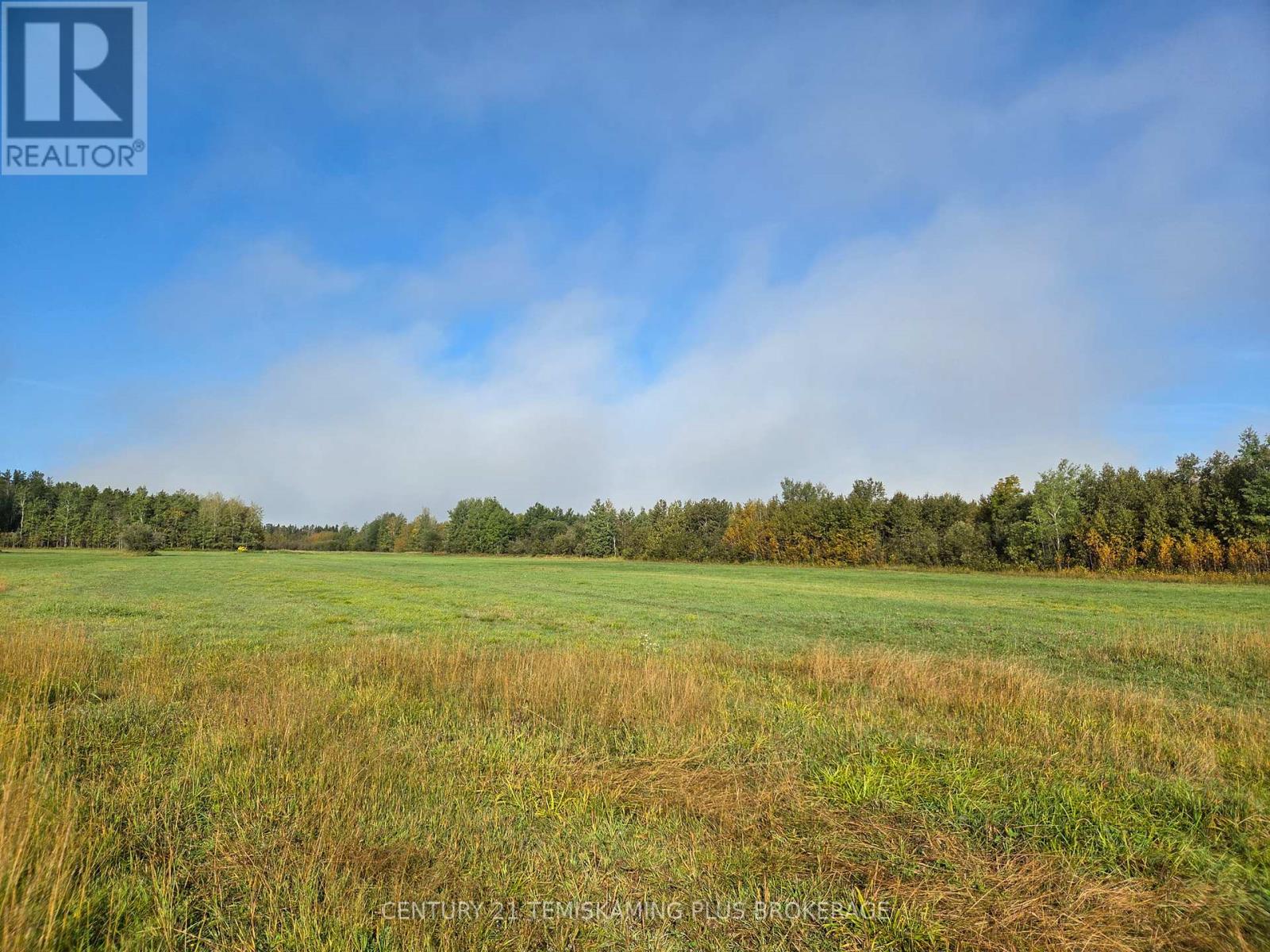 774038 Bear Road, Englehart, Ontario  P0J 1B0 - Photo 27 - T12404634