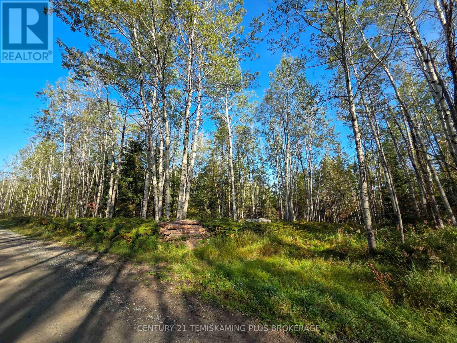 774038 Bear Road, Englehart, Ontario  P0J 1B0 - Photo 30 - T12404634