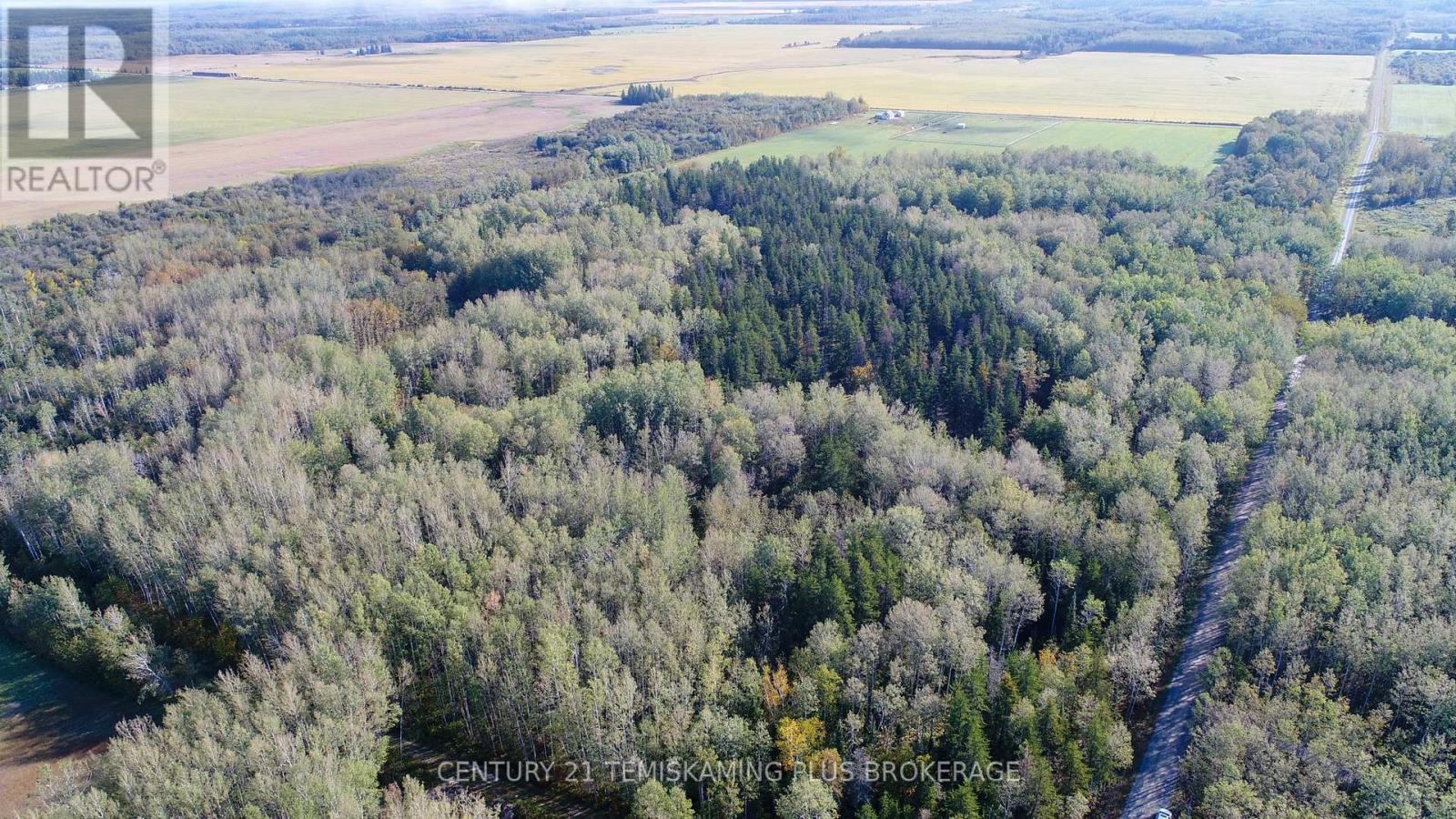 774038 Bear Road, Englehart, Ontario  P0J 1B0 - Photo 38 - T12404634