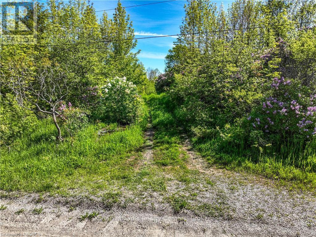 Lot 39 Bartley Drive, Northern Bruce Peninsula, Ontario  N0H 1Z0 - Photo 7 - X12404669