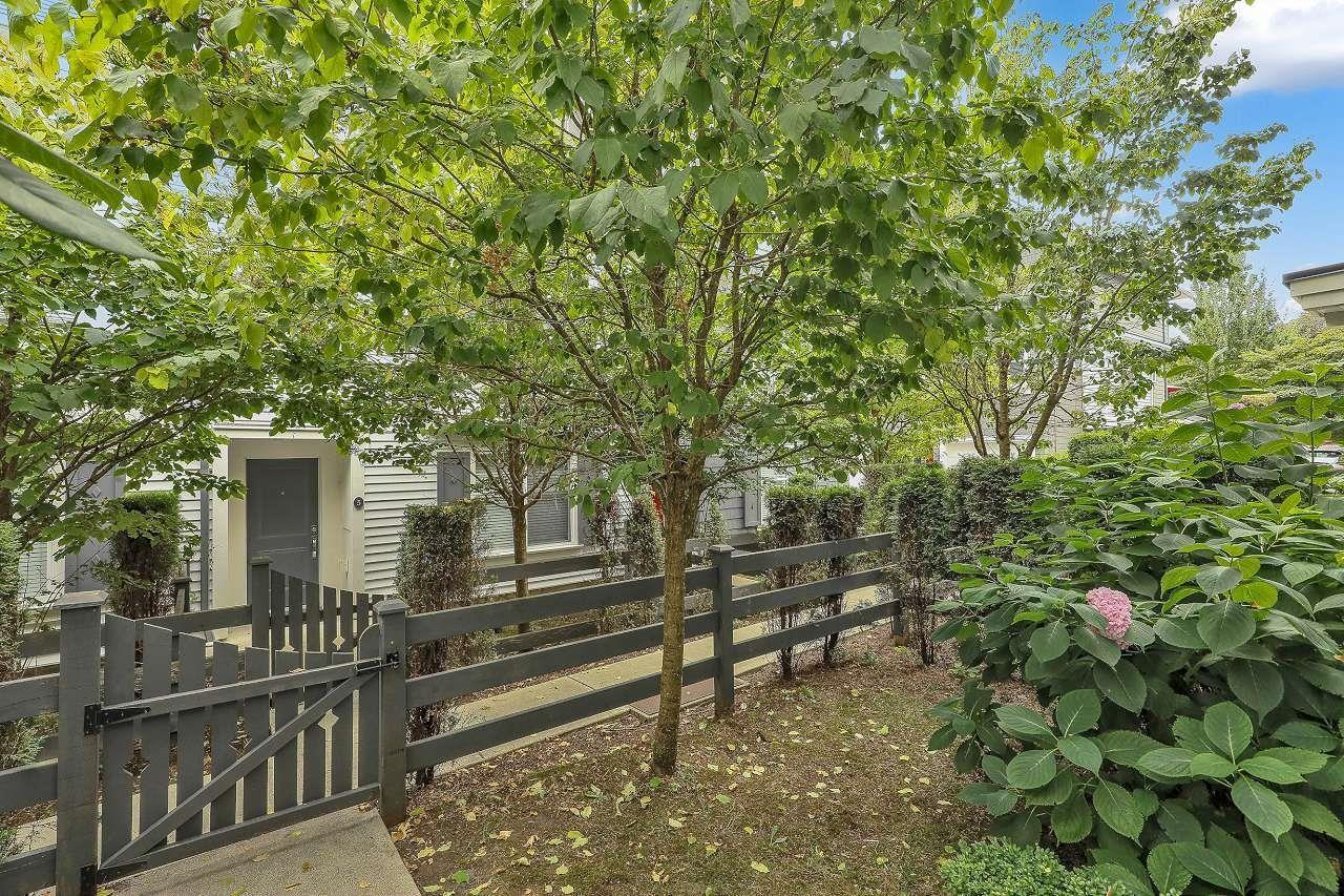 8 10433 158 Street, Surrey, British Columbia  V4N 6S3 - Photo 35 - R3047845