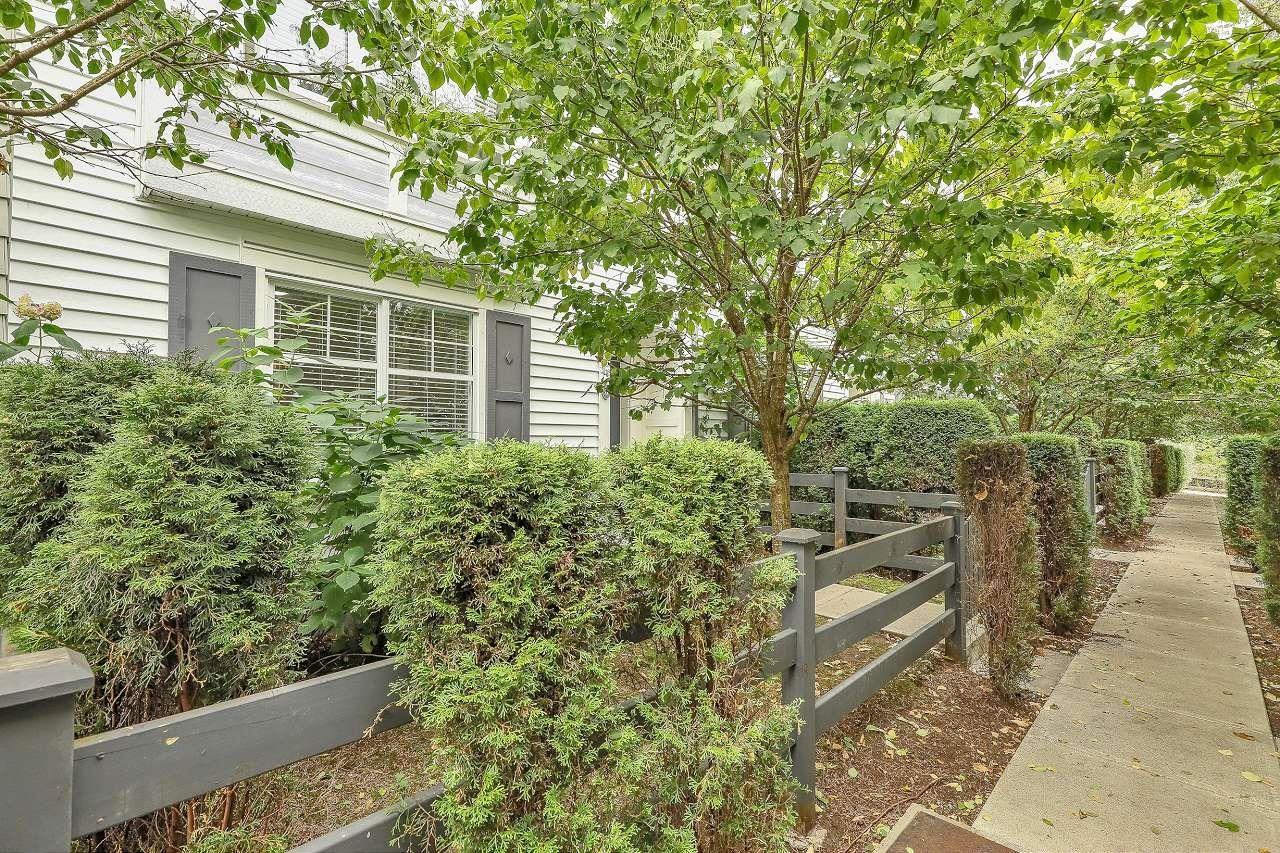 8 10433 158 Street, Surrey, British Columbia  V4N 6S3 - Photo 36 - R3047845