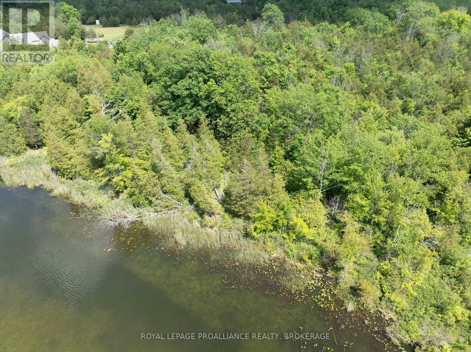 Lot 5 Applewood Lane, South Frontenac, Ontario  K0H 1X0 - Photo 6 - X12404799