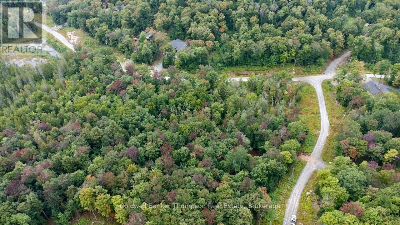 0 Granite Drive, Huntsville, Ontario  P1H 2N5 - Photo 16 - X12405174