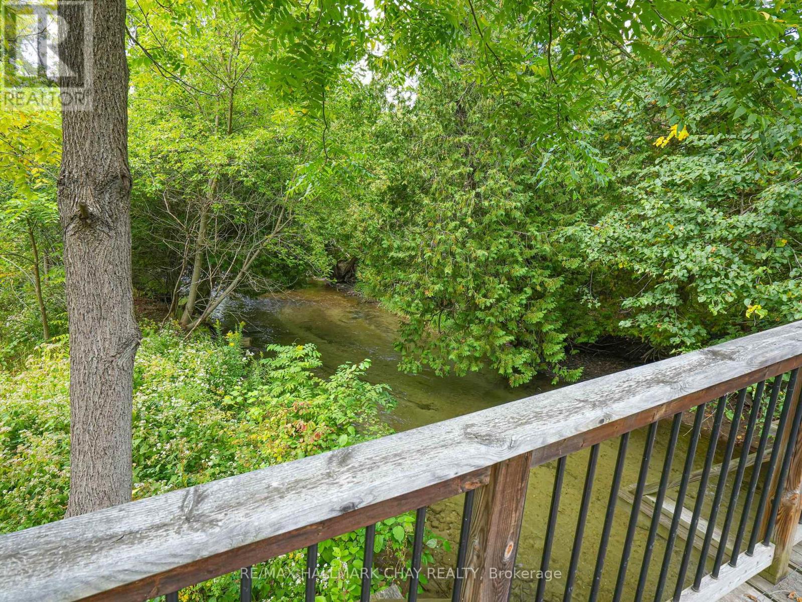 61 Pine River Crescent, Mulmur, Ontario  L9V 3H3 - Photo 38 - X12405163