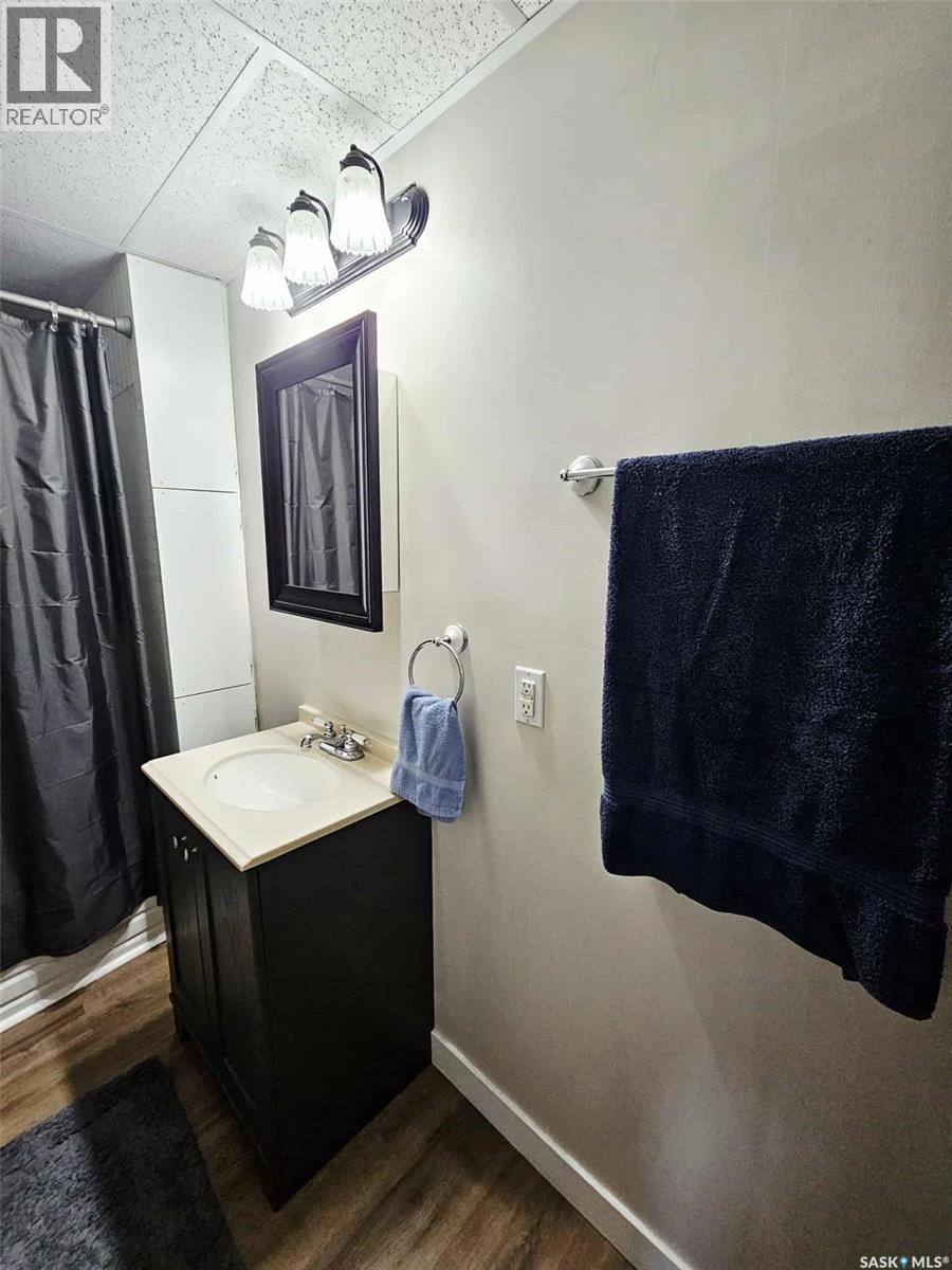 207 Ohlen Street, Stockholm, Saskatchewan  S0A 3Y0 - Photo 33 - SK018442