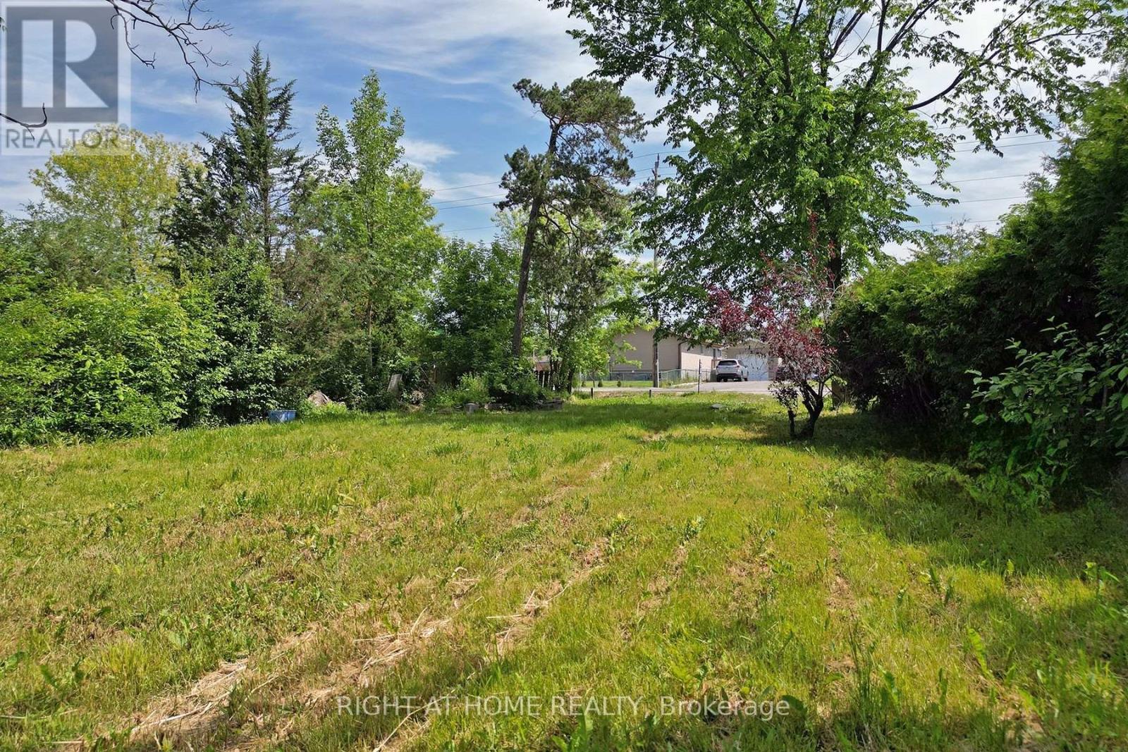 46 Metro Road S, Georgina, Ontario  L4P 3K8 - Photo 4 - N12332631
