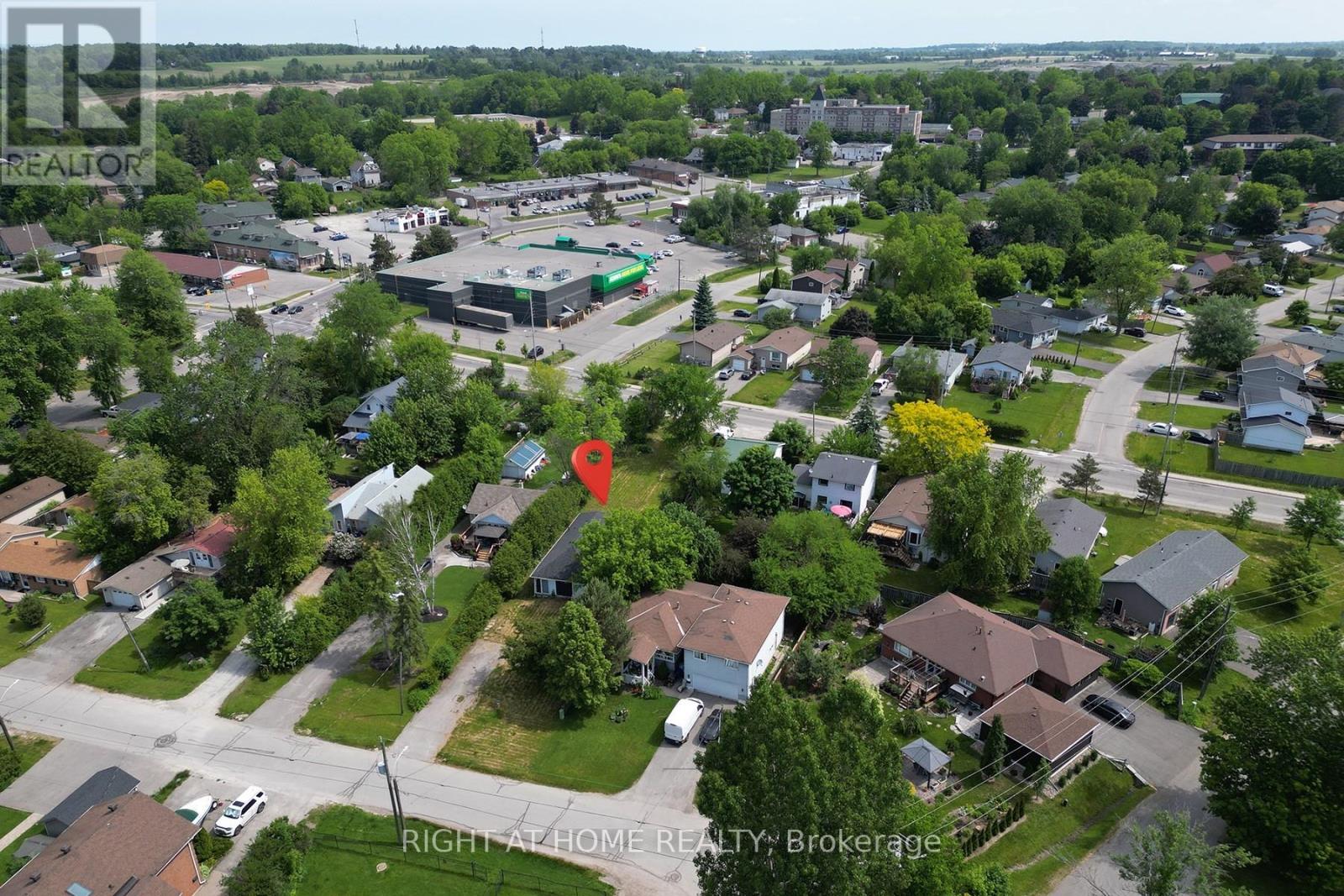 46 Metro Road S, Georgina, Ontario  L4P 3K8 - Photo 5 - N12332631
