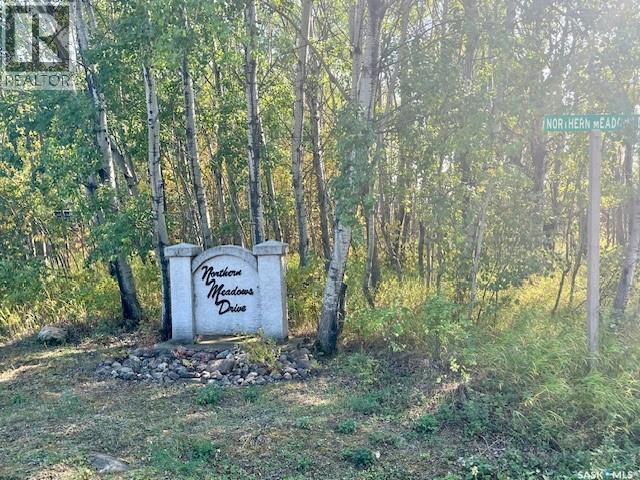 109 Northern Meadows Drive, Beaver River Rm No. 622, Saskatchewan  S0M 1A0 - Photo 35 - SK018422