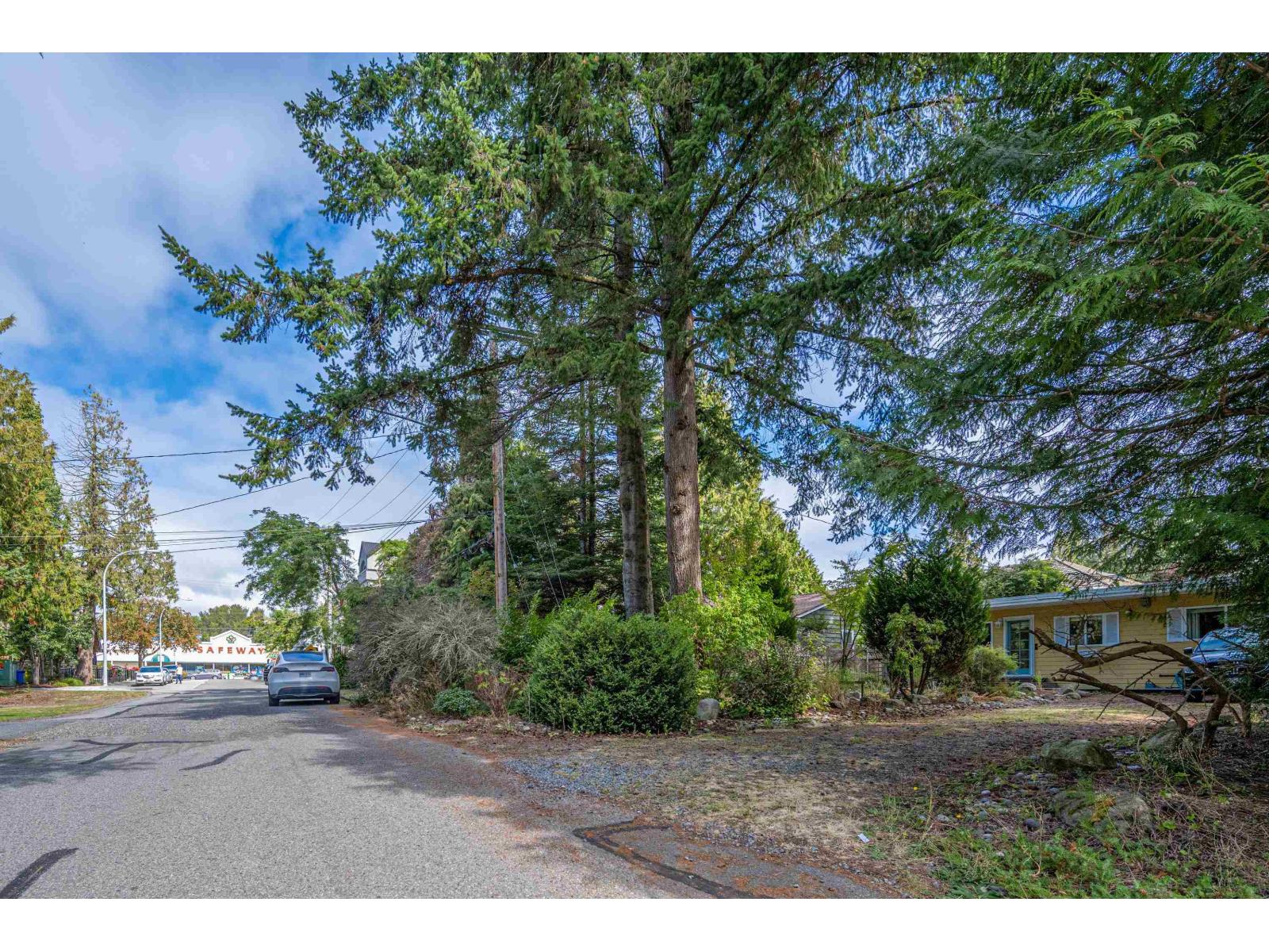 1554 128a Street, Surrey, British Columbia  V4A 3X5 - Photo 31 - R3047481