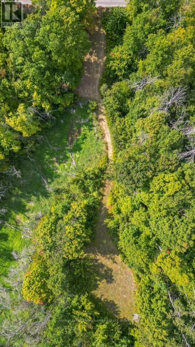 316 High Shore Road, Marmora And Lake, Ontario  K0K 2M0 - Photo 10 - X12405343