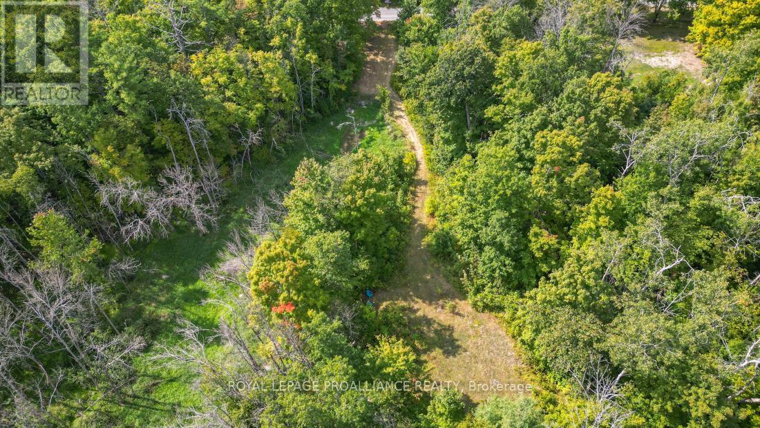 316 High Shore Road, Marmora And Lake, Ontario  K0K 2M0 - Photo 12 - X12405343