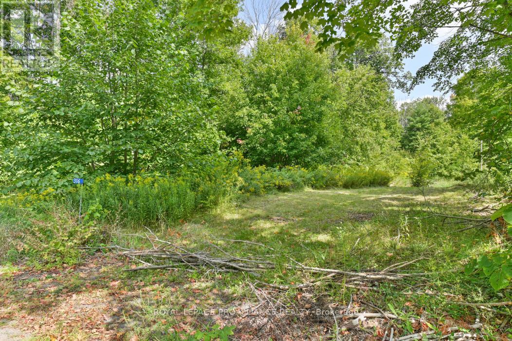 316 High Shore Road, Marmora And Lake, Ontario  K0K 2M0 - Photo 3 - X12405343