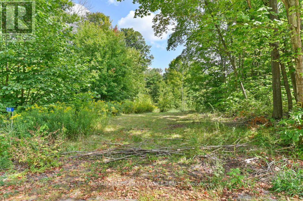 316 High Shore Road, Marmora And Lake, Ontario  K0K 2M0 - Photo 4 - X12405343