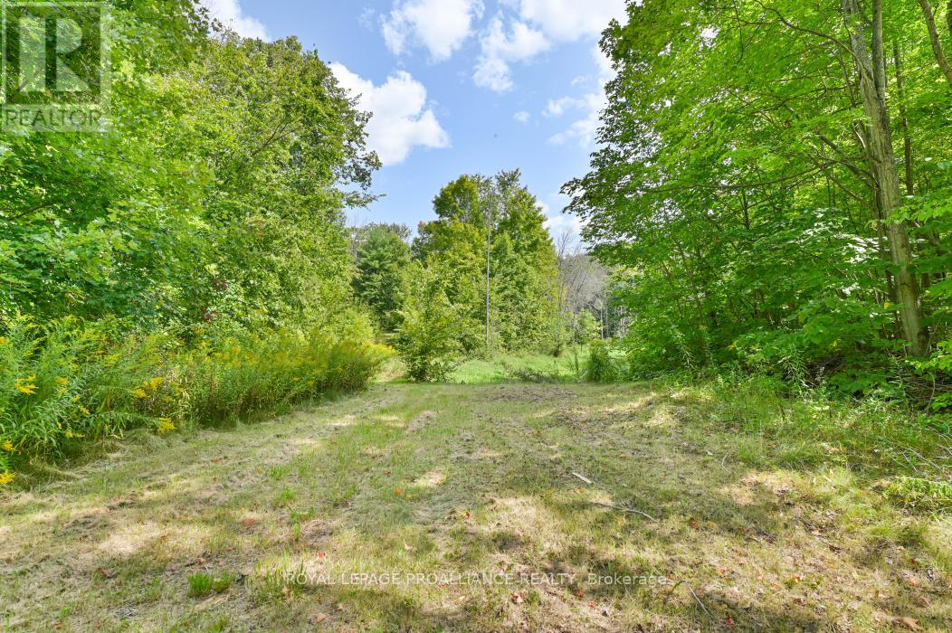 316 High Shore Road, Marmora And Lake, Ontario  K0K 2M0 - Photo 5 - X12405343