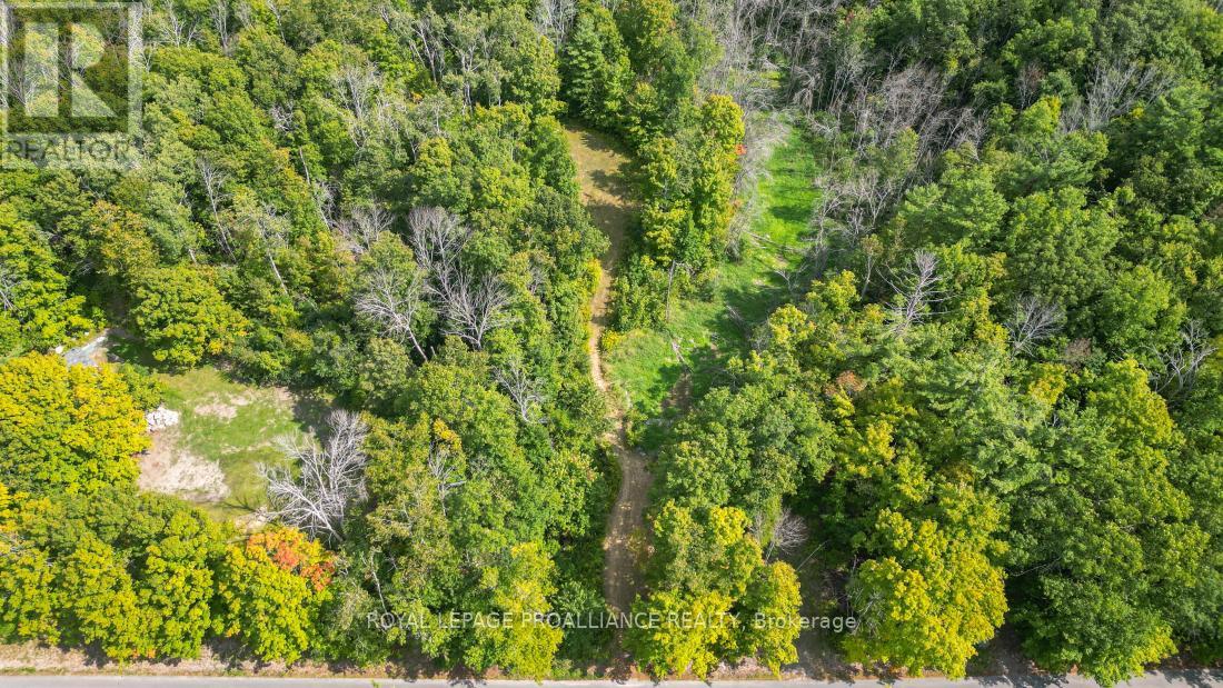 316 High Shore Road, Marmora And Lake, Ontario  K0K 2M0 - Photo 7 - X12405343