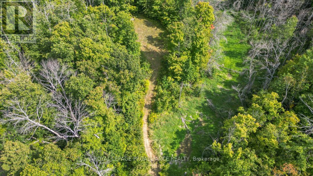 316 High Shore Road, Marmora And Lake, Ontario  K0K 2M0 - Photo 8 - X12405343