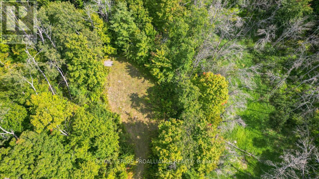 316 High Shore Road, Marmora And Lake, Ontario  K0K 2M0 - Photo 9 - X12405343