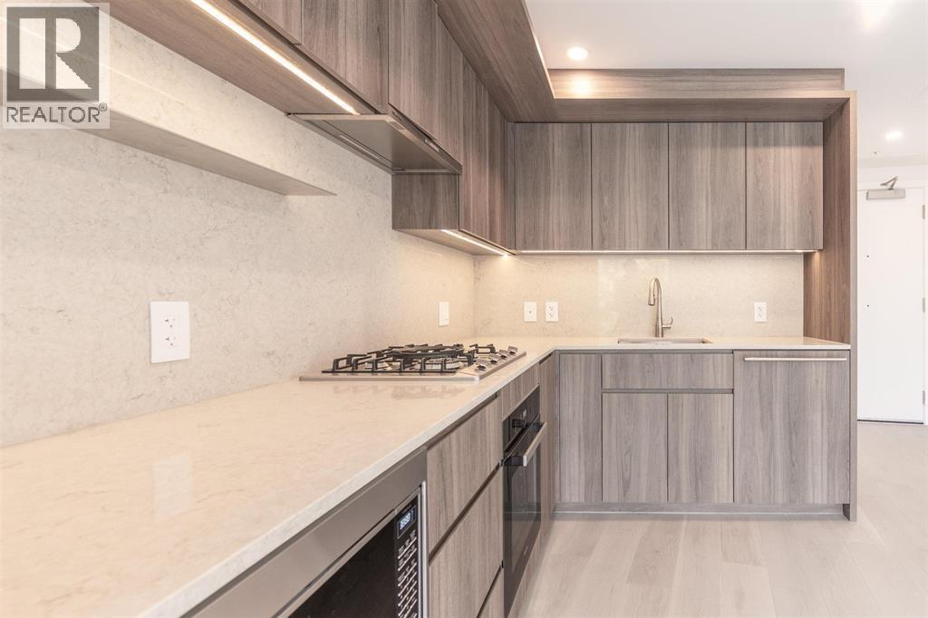 213 5212 Cambie Street, Vancouver, British Columbia  V5Z 2Z7 - Photo 4 - R3048055