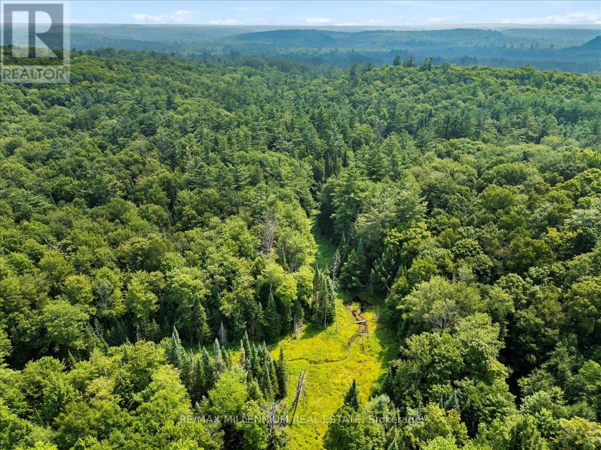 118 - 3529 Highway Highway E, Bracebridge (Oakley), Ontario  P1L 1X1 - Photo 16 - X12405330