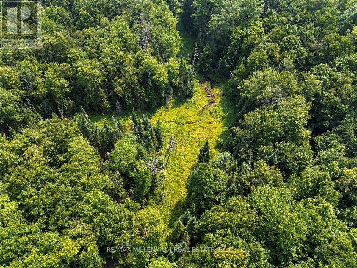 118 - 3529 Highway Highway E, Bracebridge (Oakley), Ontario  P1L 1X1 - Photo 18 - X12405330