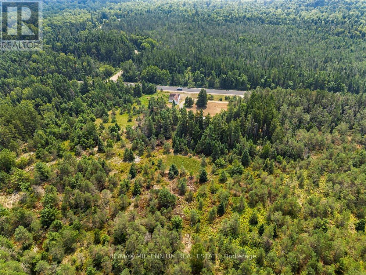 118 - 3529 Highway Highway E, Bracebridge (Oakley), Ontario  P1L 1X1 - Photo 35 - X12405330