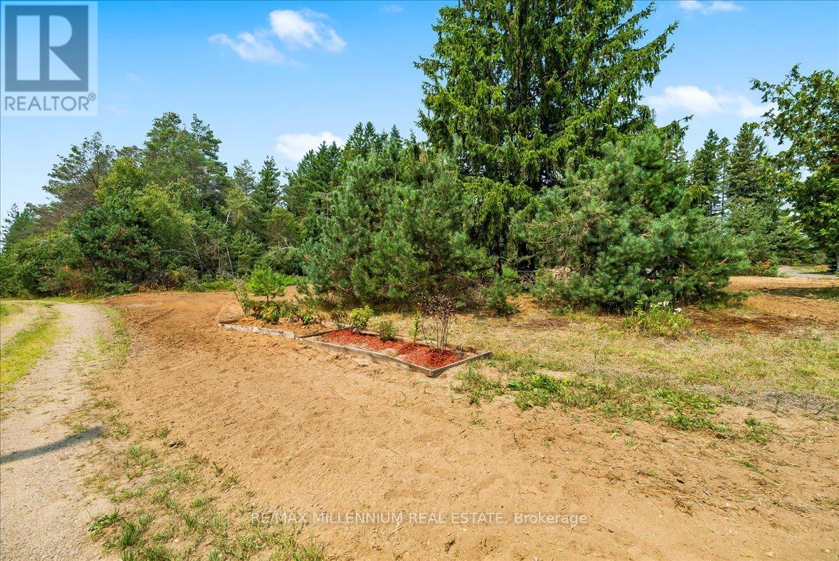 118 - 3529 Highway Highway E, Bracebridge (Oakley), Ontario  P1L 1X1 - Photo 5 - X12405330
