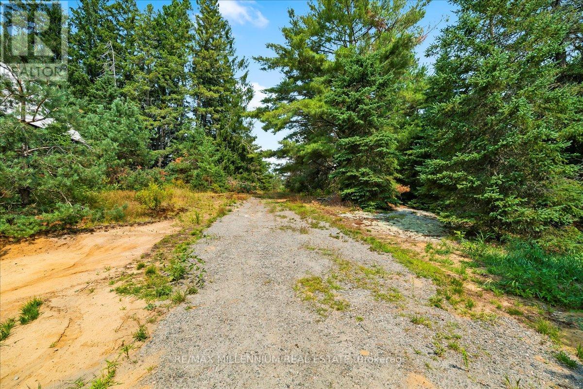 118 - 3529 Highway Highway E, Bracebridge (Oakley), Ontario  P1L 1X1 - Photo 7 - X12405330