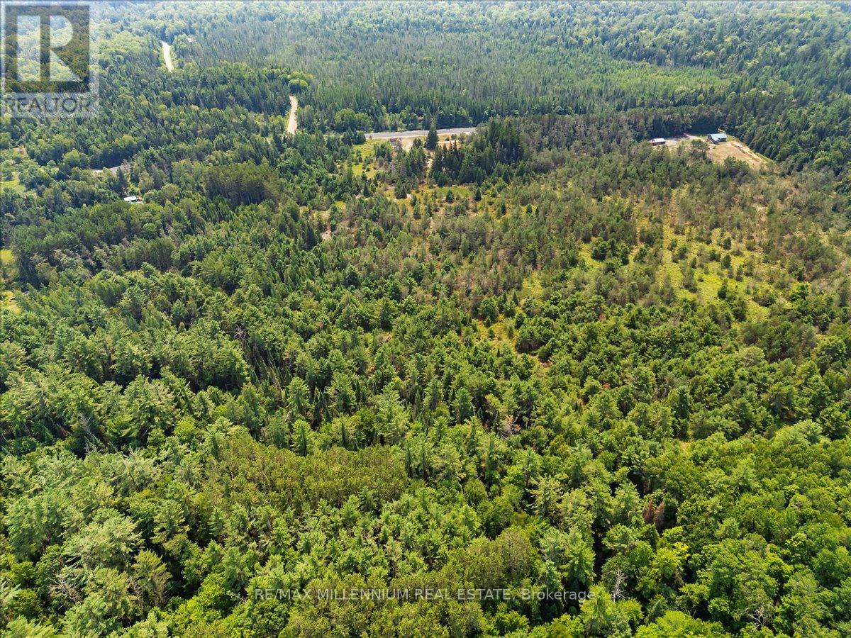 118 - 3529 Highway Highway E, Bracebridge (Oakley), Ontario  P1L 1X1 - Photo 33 - X12405350