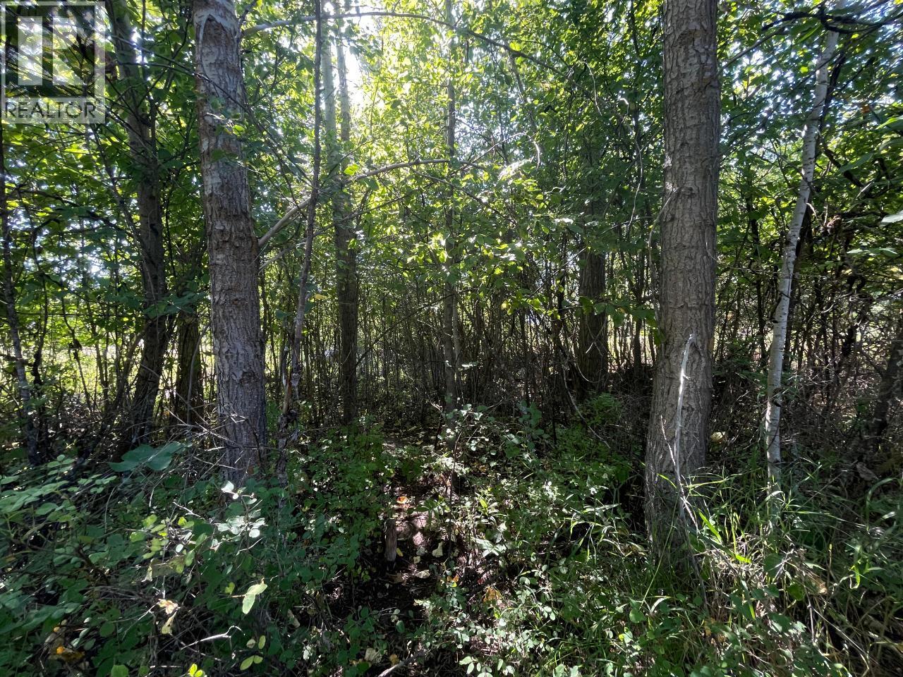 Parcel B Government  N Avenue, Greenwood, British Columbia  V0H 1J0 - Photo 7 - 10360160