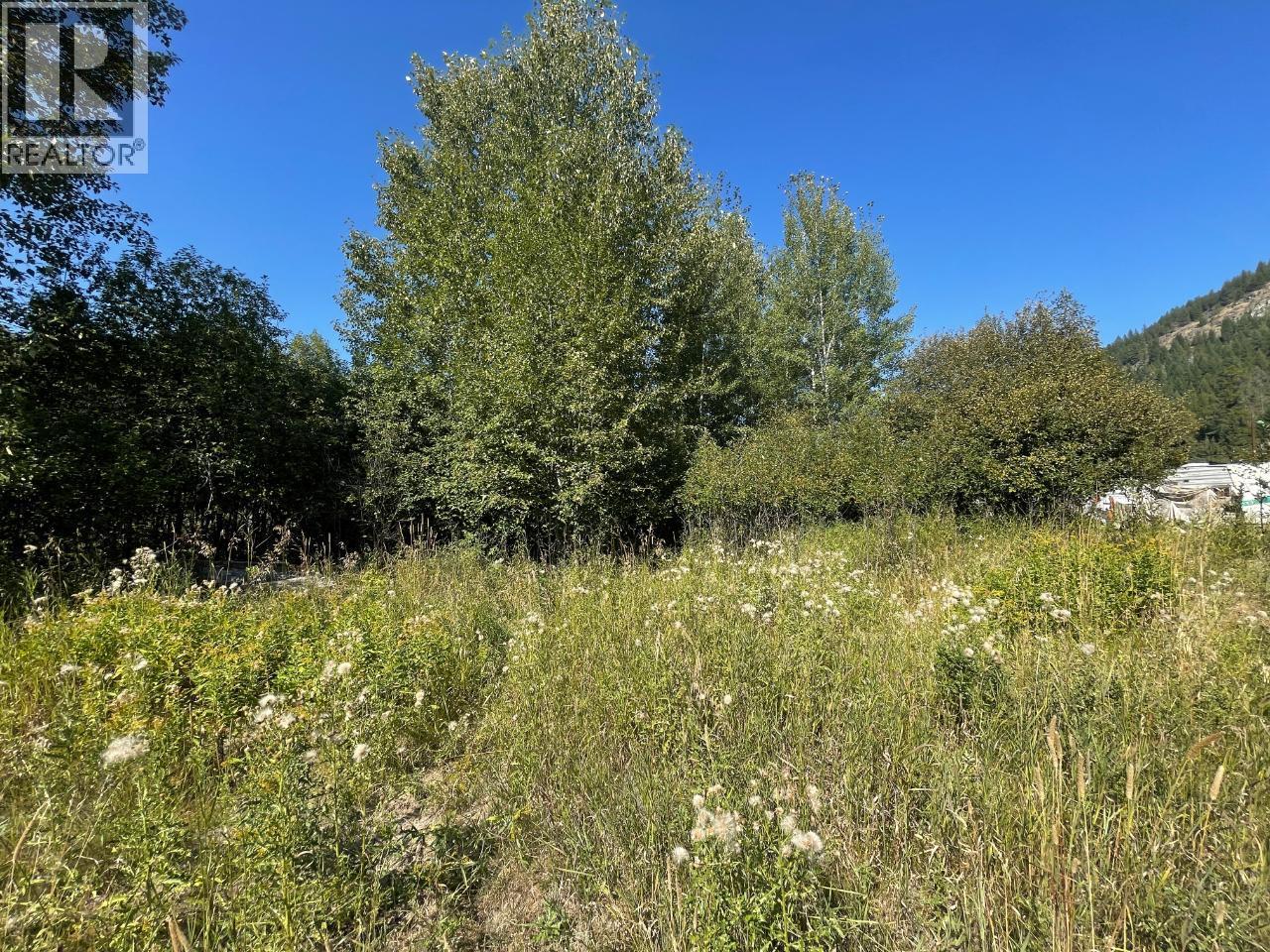 Parcel B Government  N Avenue, Greenwood, British Columbia  V0H 1J0 - Photo 8 - 10360160