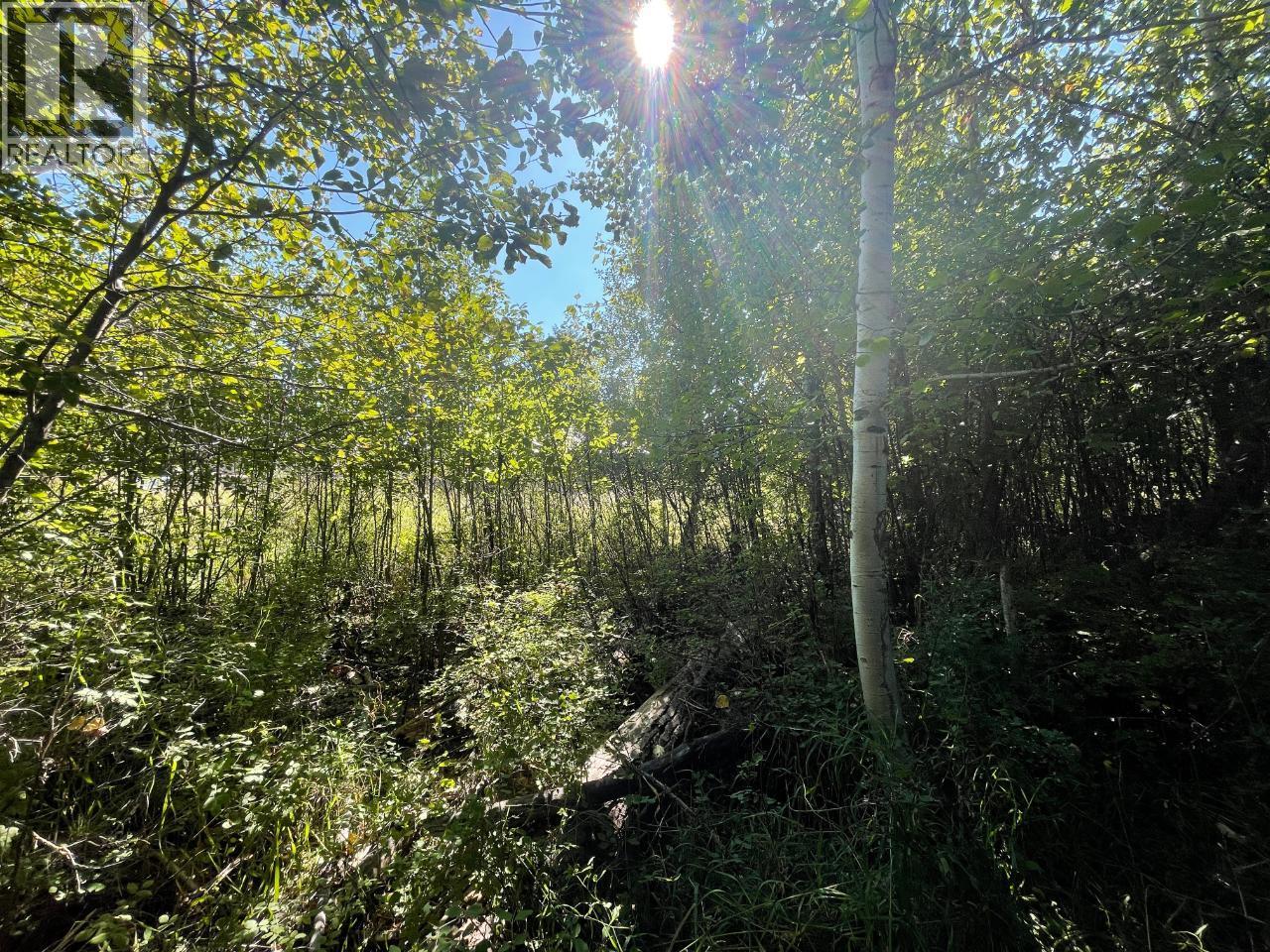 Parcel B Government  N Avenue, Greenwood, British Columbia  V0H 1J0 - Photo 5 - 10360160