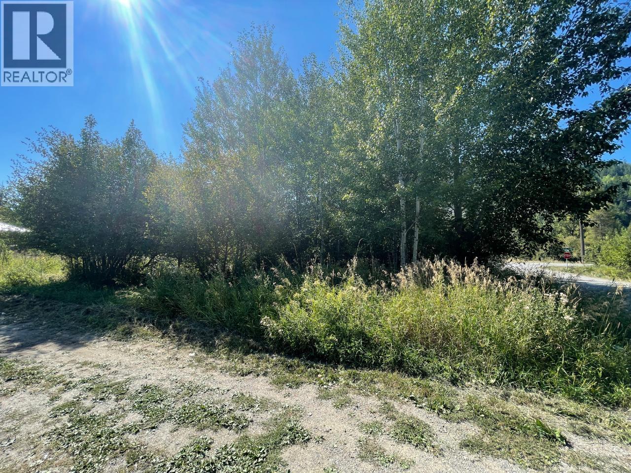 Parcel B Government  N Avenue, Greenwood, British Columbia  V0H 1J0 - Photo 9 - 10360160