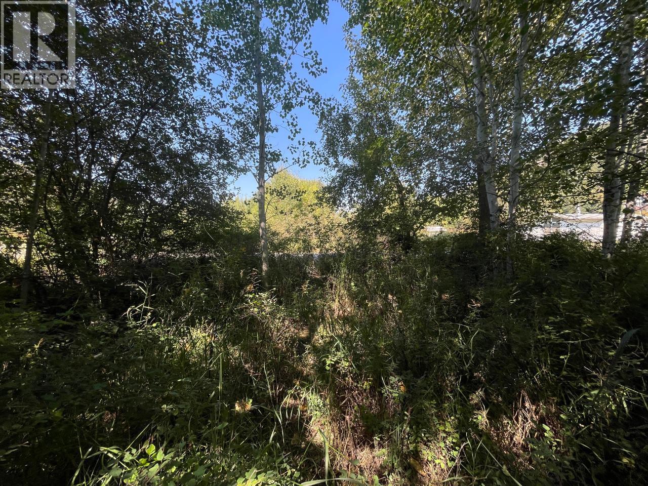 Parcel B Government  N Avenue, Greenwood, British Columbia  V0H 1J0 - Photo 6 - 10360160