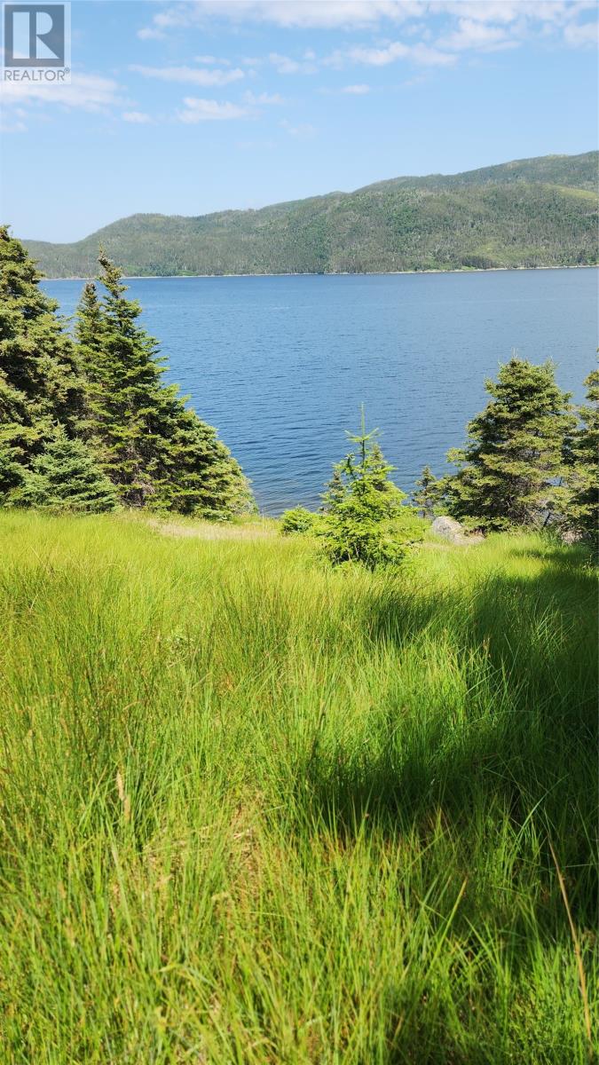 186 Tablelands Drive, Shoal Brook, Newfoundland & Labrador  A0K 1K0 - Photo 11 - 1284944