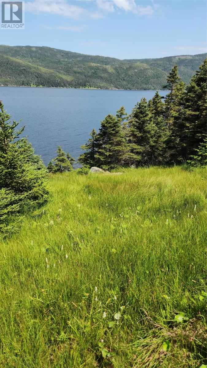 186 Tablelands Drive, Shoal Brook, Newfoundland & Labrador  A0K 1K0 - Photo 12 - 1284944